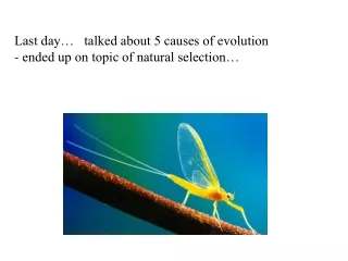 Last day…   talked about 5 causes of evolution - ended up on topic of natural selection…