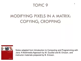 TOPIC 9 MODIFYING PIXELS IN A MATRIX: COPYING, CROPPING