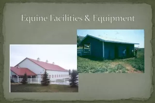 Equine Facilities &amp; Equipment