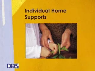 Individual Home Supports