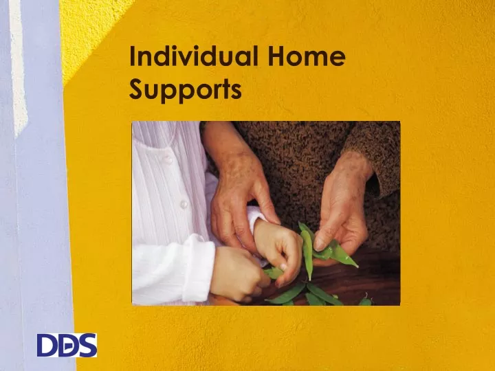 individual home supports