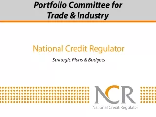 Portfolio Committee for  Trade &amp; Industry