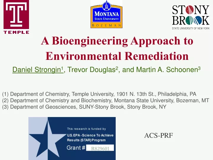 a bioengineering approach to environmental remediation