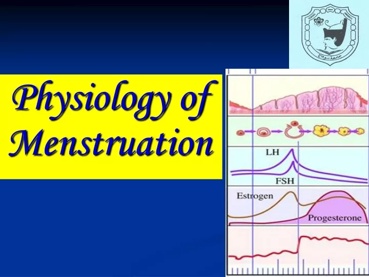 physiology of menstruation