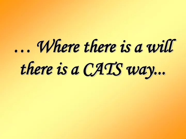 where there is a will there is a cats way