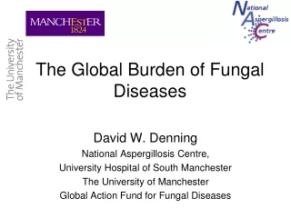 The Global Burden of Fungal Diseases