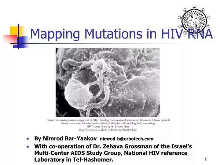 mapping mutations in hiv rna