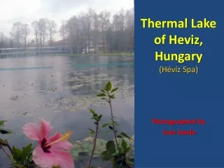 Thermal Lake of H e v i z , Hungary (Hévíz  Spa )