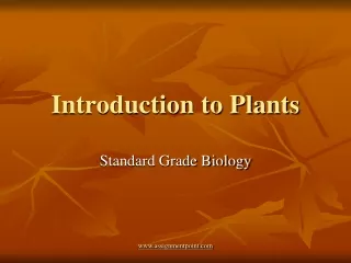 Introduction to Plants