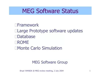 MEG Software Status