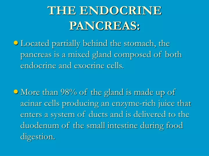 the endocrine pancreas