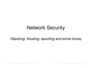 Network Security Hijacking, flooding, spoofing and some honey