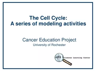 The Cell Cycle:  A series of modeling activities