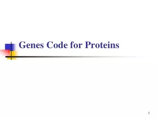 Genes Code for Proteins