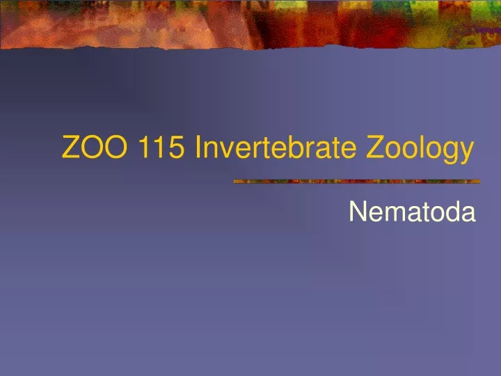 zoo 115 invertebrate zoology