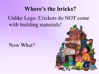 Where’s the bricks?