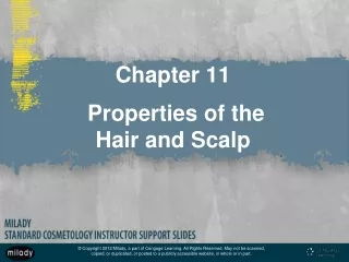 Chapter 11  Properties of the  Hair and Scalp