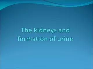The kidneys and formation of urine