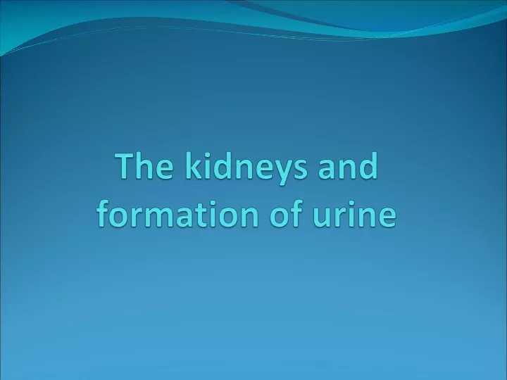 the kidneys and formation of urine