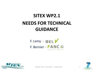 SITEX WP2.1 NEEDS FOR TECHNICAL GUIDANCE 		F.  Lemy - 		F. Bernier -