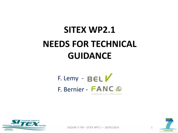 sitex wp2 1 needs for technical guidance f lemy f bernier
