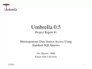 Umbrella 0.5 Project Report #1