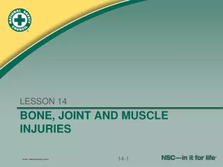 BONE, JOINT AND MUSCLE INJURIES