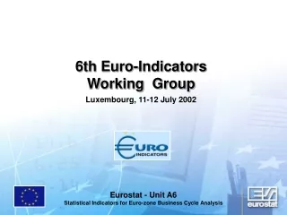 6th Euro-Indicators Working  Group