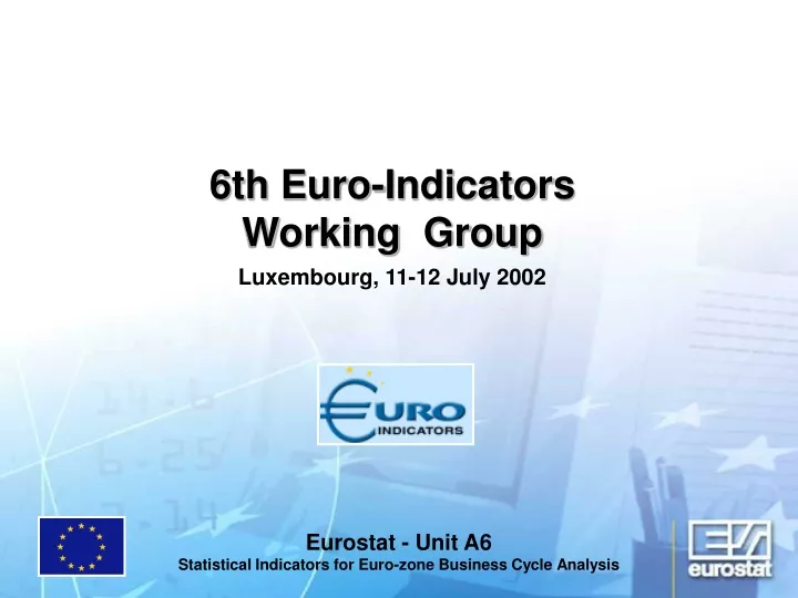6th euro indicators working group