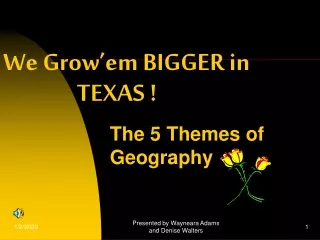 We Grow’em BIGGER in  			  TEXAS !