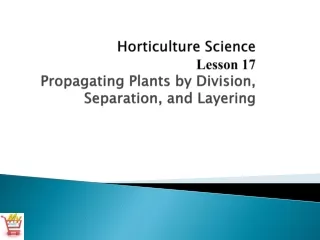 Horticulture Science Lesson 17 Propagating Plants by Division, Separation, and Layering