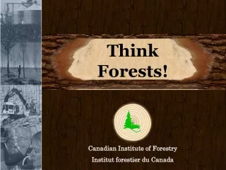 Think Forests!