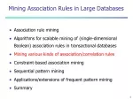 Mining Association Rules in Large Databases - slide 1