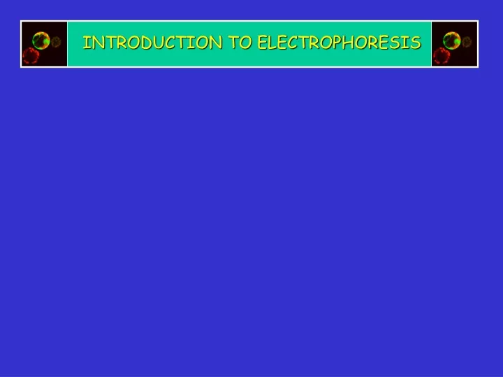 introduction to electrophoresis