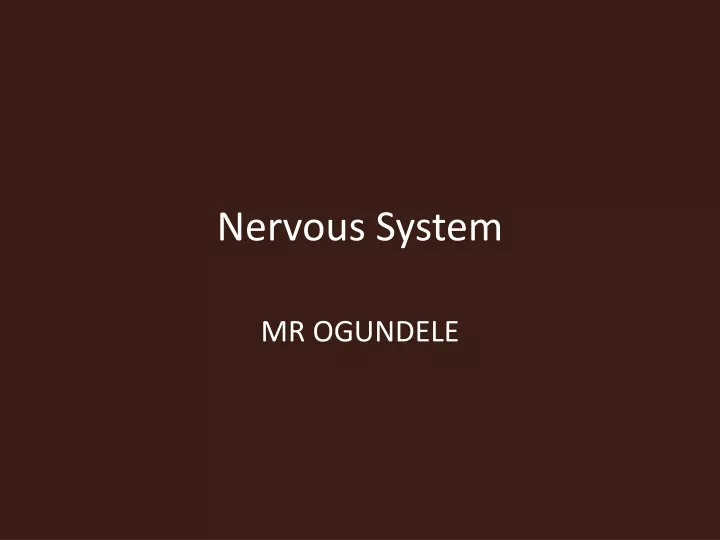 nervous system