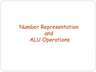 Number Representation  and  ALU Operations