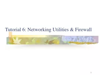 Tutorial 6: Networking Utilities &amp; Firewall
