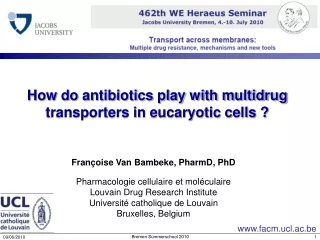 How do antibiotics play with multidrug transporters in eucaryotic cells ?