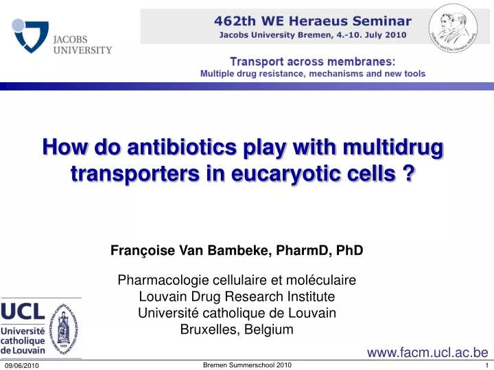 how do antibiotics play with multidrug transporters in eucaryotic cells