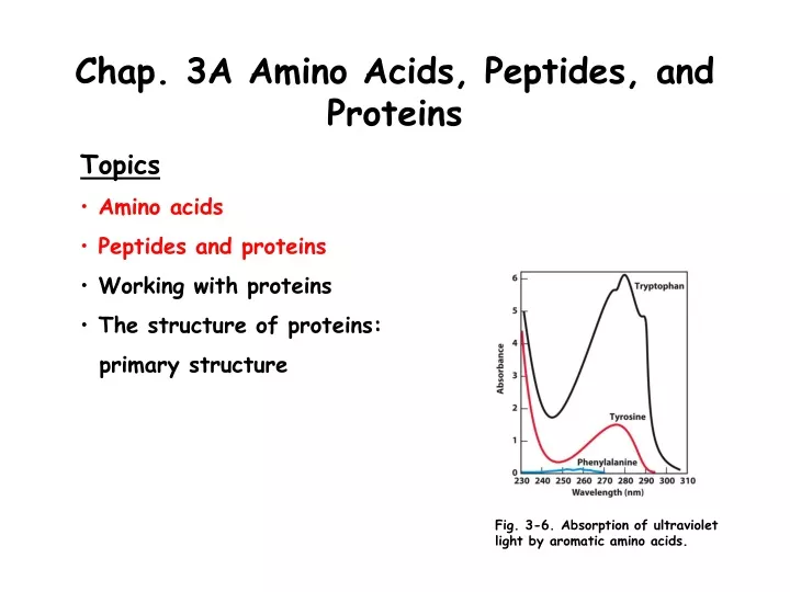 chap 3a amino acids peptides and proteins