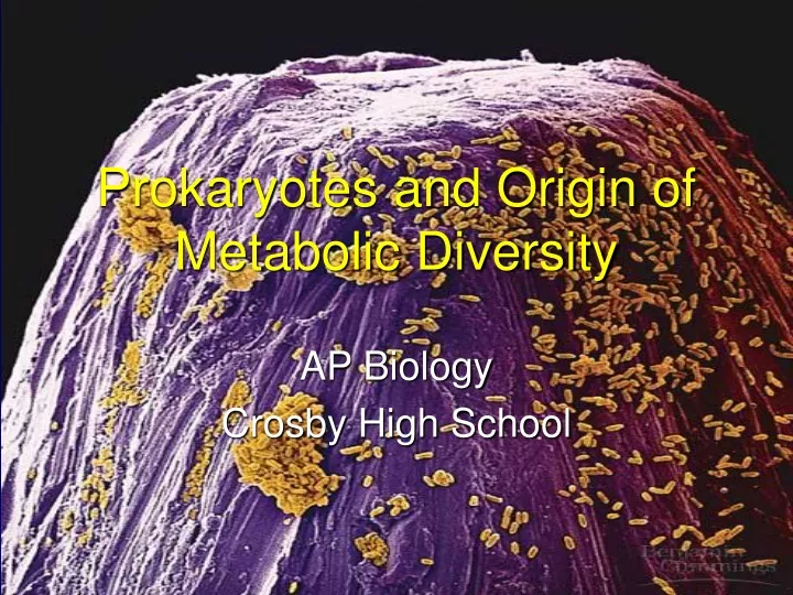 prokaryotes and origin of metabolic diversity