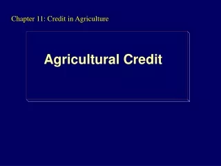 Chapter 11: Credit in Agriculture