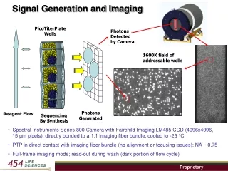 Signal Generation and Imaging