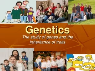 Genetics