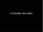 Overview of Systemic Mycoses: Histoplasmosis - slide 1
