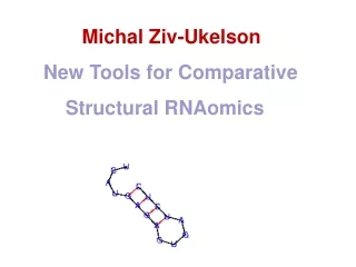 Michal  Ziv-Ukelson      New Tools for Comparative           Structural  RNAomics