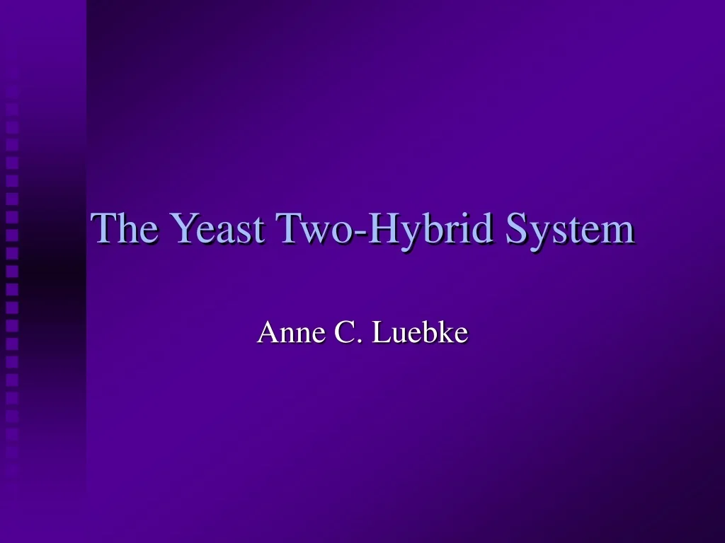 PPT - Yeast Two-Hybrid System for Protein Interaction Studies ...