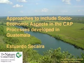 Approaches to include Socio-Economic Aspects in the CAP Processes developed in Guatemala