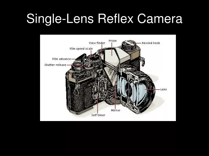 single lens reflex camera