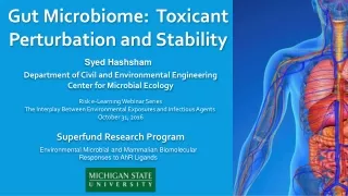 Gut Microbiome:  Toxicant Perturbation and Stability
